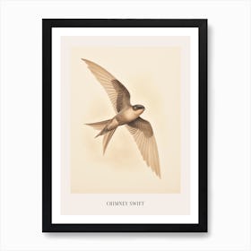 Vintage Bird Drawing Chimney Swift Poster Art Print