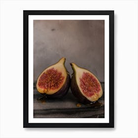 Honey Fig Art Print