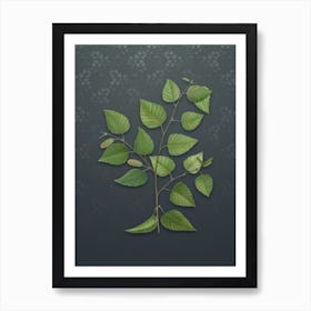 Vintage Paper Birch Botanical on Slate Gray Pattern Art Print