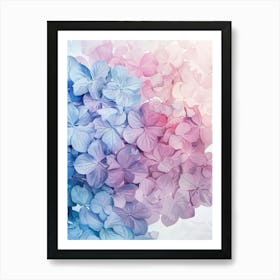 Hydrangeas 5 Art Print