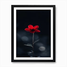 Single Red Flower 5 Art Print