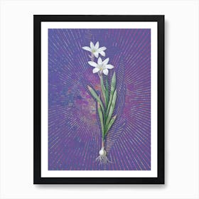 Vintage Ixia Liliago Botanical Illustration on Veri Peri n.0242 Art Print