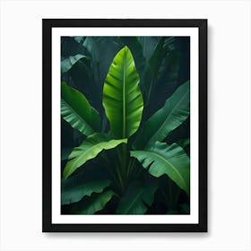 Close Up Of Lush Green Banana Leaves In Sunlight Art Print