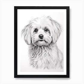 Maltese Dog, Line Drawing 4 Art Print