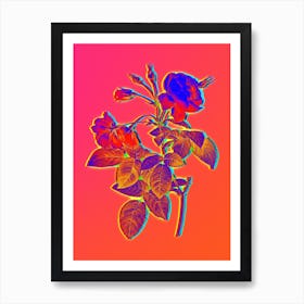 Neon Pink Boursault Rose Botanical in Hot Pink and Electric Blue n.0340 Art Print