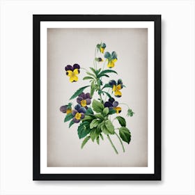 Vintage Johnny Jump Up Botanical on Parchment n.0690 Art Print