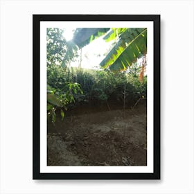 Banana Field For Sale Art Print