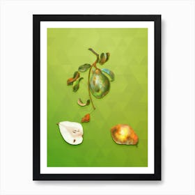 Vintage Pear Botanical Art on Love Bird Green n.1508 Art Print