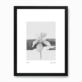 Iris Botanical Collage 3 Art Print