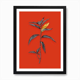 Vintage Dayflower Black and White Gold Leaf Floral Art on Tomato Red n.0559 Art Print