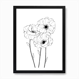 Poppy Flowers Art Print