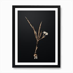 Gold Botanical Gladiolus Inclinatus on Wrought Iron Black n.3936 Art Print