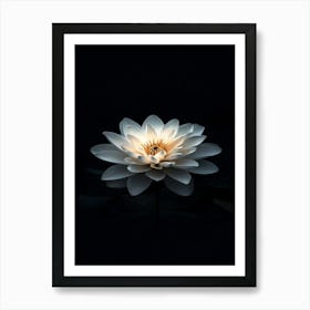 Lotus Flower 14 Art Print