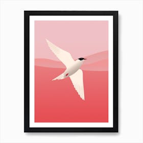 Minimalist Common Tern 2 Illustration Art Print