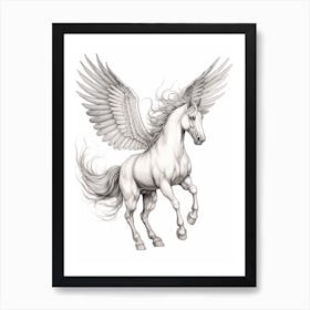 Pegasus Pencil Illustration Art Print