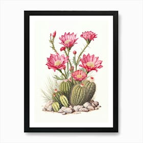 Vintage Cactus Illustration Hedgehog Cactus Poster