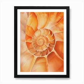 Nautilus Shell 12 Art Print