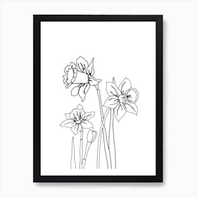 Daffodil Drawing Art Print