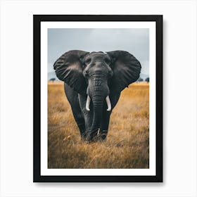 Elephant In The Savannah Art Print