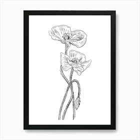 Poppy Flower Vector Illustration Art Print