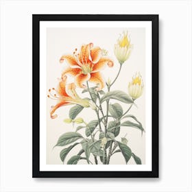 Himeyuri Okinawan Lily 2 Vintage Japanese Botanical Art Print