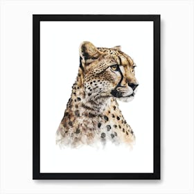 Watercolor Painting Portrait Of A Cheetah Poster