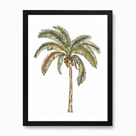 Palm Tree 30 Art Print