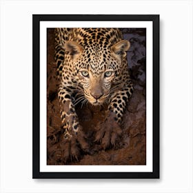 African Leopard Muddy Paws Realism 3 Art Print