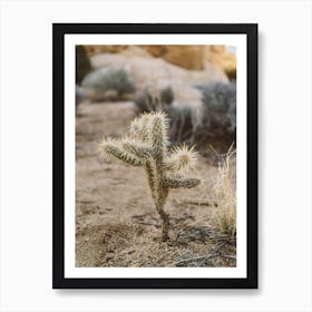 Joshua Tree National Park XVI Art Print