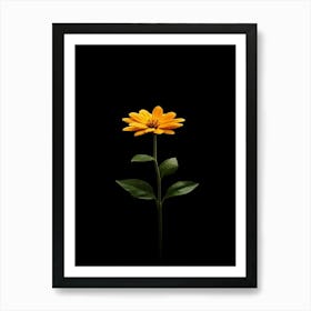 Single Yellow Flower Isolated On Black Art Print