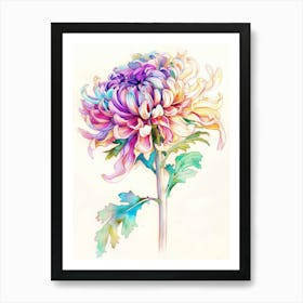 Chrysanthemum 7 Art Print