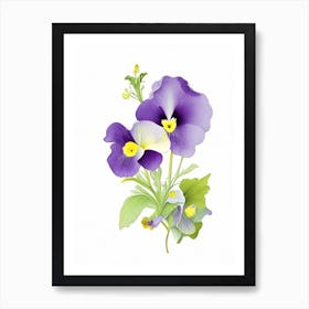 Pansy Floral Quentin Blake Inspired Illustration 4 Flower Art Print