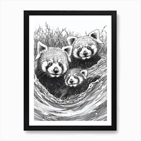 Red Panda Family Swimming Ink Illustration A River Ink Illustration 3 Art Print