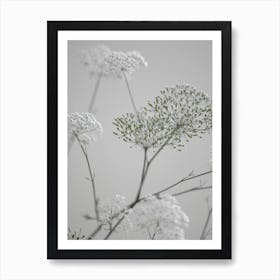 White Greige Flower Blossoms Art Print