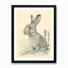 Harlequin Rabbit Drawing 3 Art Print