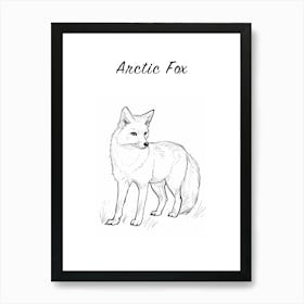 Bw Arctic Fox Poster Art Print