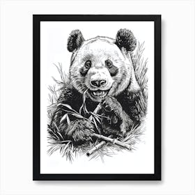 Giant Panda Eating Bamboo Ink Illustration 4 Art Print