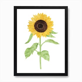 Sunflower Watercolor Painting Art Print
