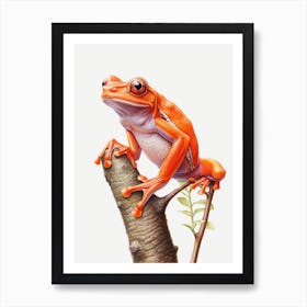 Red Tree Frog Botanical Realistic 2 Art Print