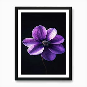 Purple Anemone Flower Art Print