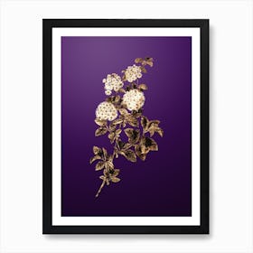 Gold Botanical Germander Meadowsweet on Royal Purple Art Print