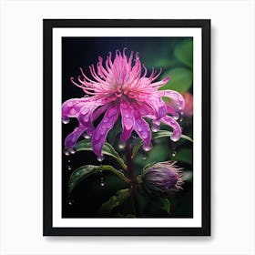 Bee Balm Wildflower In South Western Style (2) Art Print