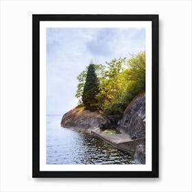 Rocky Shore With Trees Art Print