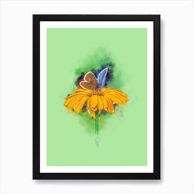 Butterfly 4 Art Print