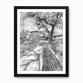 Nature Science Center Austin Texas Black And White Watercolour 3 Art Print