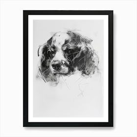 Cavalier King Charles Charcoal Line 1 Art Print