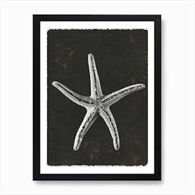 Earthly Starfish Sonata Art Print