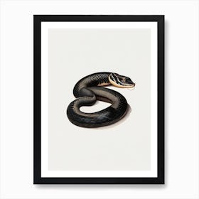 Black Moccasin Snake Vintage Art Print