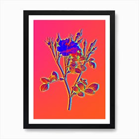 Neon Anemone Flowered Sweetbriar Rose Botanical in Hot Pink and Electric Blue n.0505 Art Print