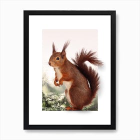 Squirrel Art Print